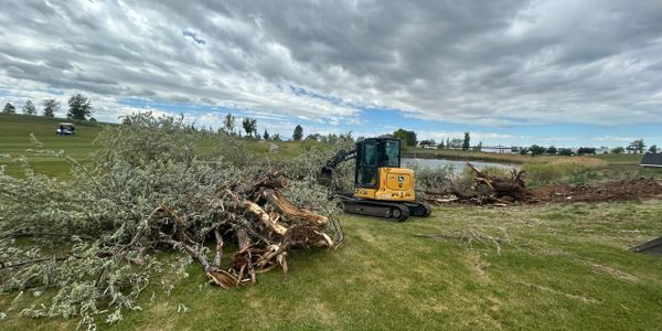 A yellow excavator clearing fallen trees on a grassy field under a cloudy sky.