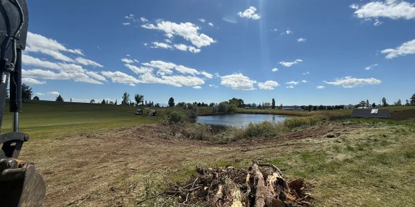 Clear sky over a grassy field with a pond and some wood debris.
