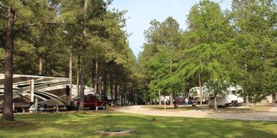 RVs parked among tall pine trees at Beaver Run RV Park, peaceful Georgia camping spots
