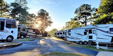 RVs parked under tall pine trees at Americus KOA Journey, one of the relaxing Georgia camping spots
