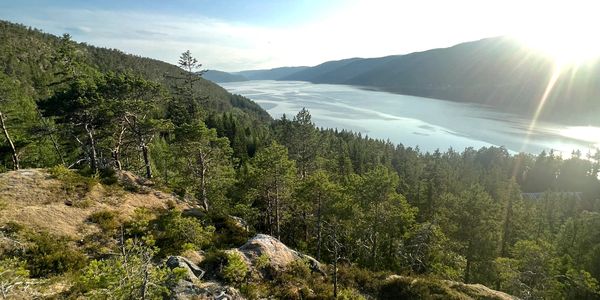 A stunning view over and across the Terrasundet fjord, not a cloud in the blue sky with sun rise.