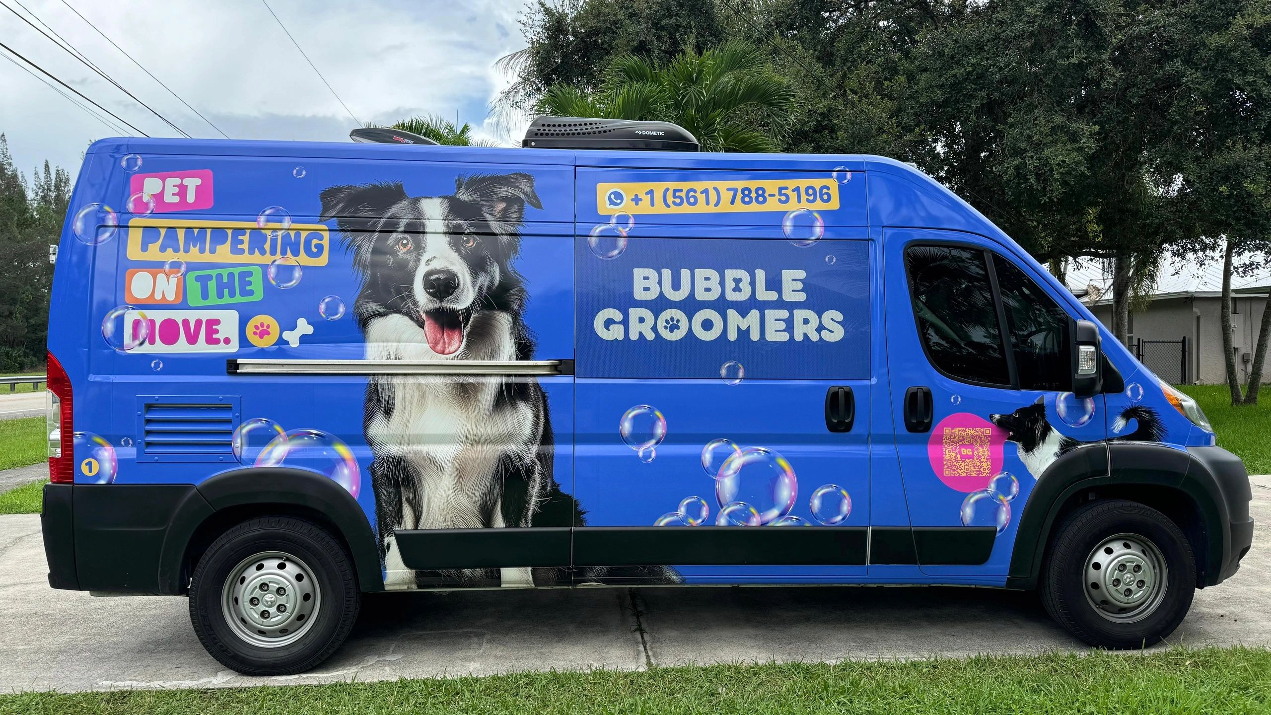 best-mobile-dog-grooming-services-in-palm-beach