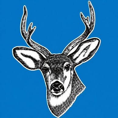 Black and white deer head illustration on a blue background.