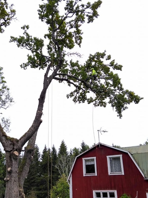 Christopher syns knappt när han grenvandrar över huset