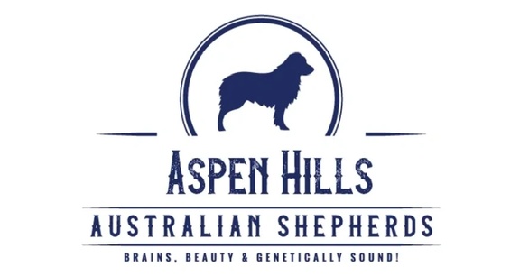 Central Oregon Australian Shepherds