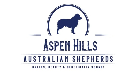 Aspen Hills Australian Shepherds