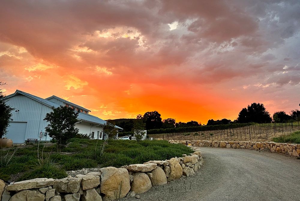 Winery with sunset