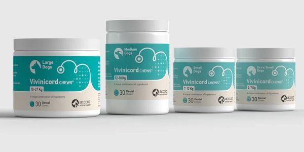  Vivinicord Chews® from Accord Animal Heath