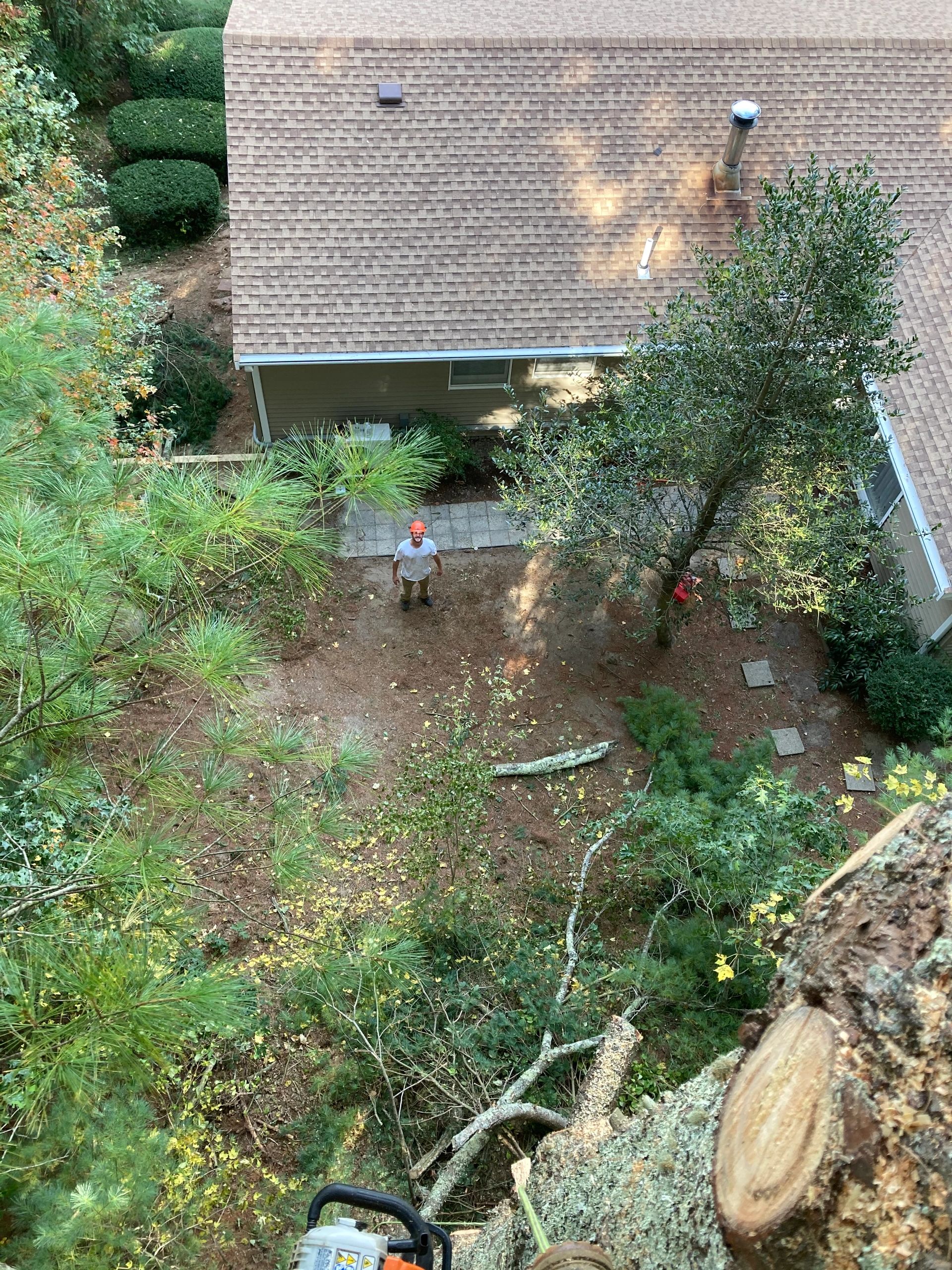 Premium tree & Landscape - Landscaping, Tree Removal