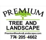 Premium tree & Landscape