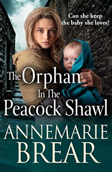 Historical novel in 19th century York, Yorkshire, England by historical author AnneMarie Brear.