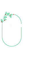 ChristmasFest