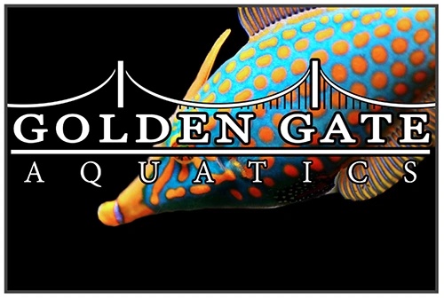Golden Gate Aquatics