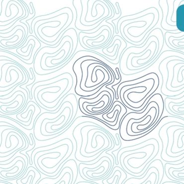 Abstract contour lines forming organic shapes on a white background.