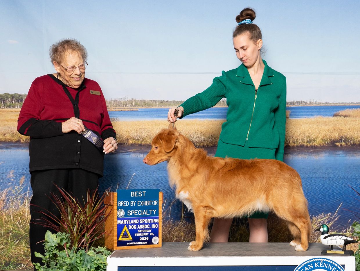 Dog show winner with handler and judge.