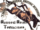 Rugged Reins Tenacities LLC 
Taking the Reins & Driving Business
