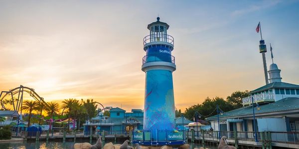 Lighthouse at SeaWorld park during sunset with sea lions sculptures.