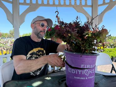 Man tending to plants in a purple First Editions shrub pot outdoors.