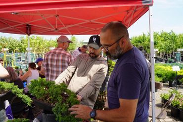 Two men examining plants under a red canopy at a nursery.