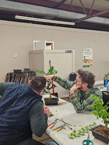Two men shaping a bonsai tree at a workshop table.