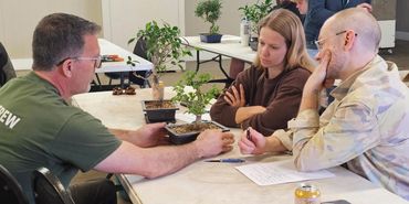 Three people discuss bonsai tree techniques at a workshop table.