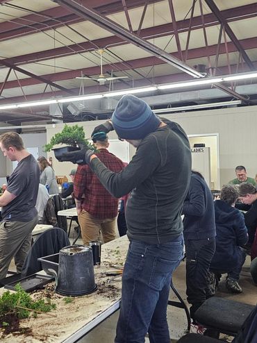 People engaged in bonsai tree shaping indoors.