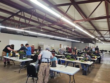 People working on bonsai trees in a spacious workshop.