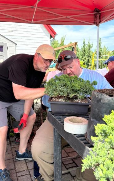 Two men closely examining a bonsai tree under a red canopy outdoors.
