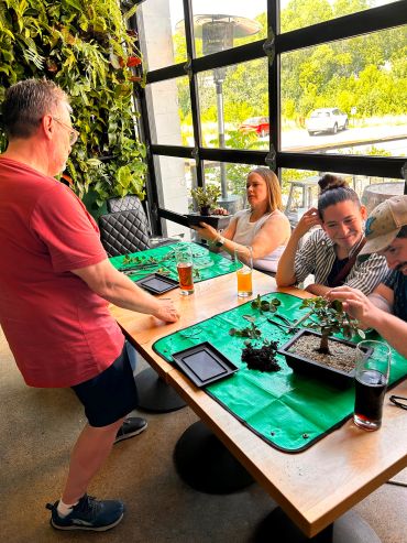 Group enjoying bonsai tree activity indoors.