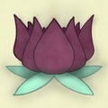 Rocky Mountain Wellness Academy 