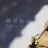 高品質的專業防水工程 及 建築防水工程。 提供:天台防水、平台防水、天台不起底防水工程、polyurea防水工程、泳池防水工程、停車場防水工程、升降機槽防水工程、水缸防水工程、外牆防水工程等。
