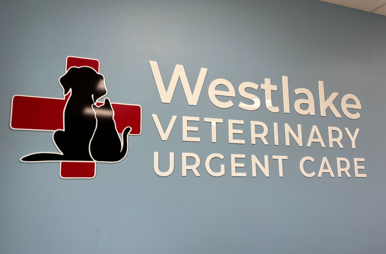 Westlake Wanderer Article 12/12/2025