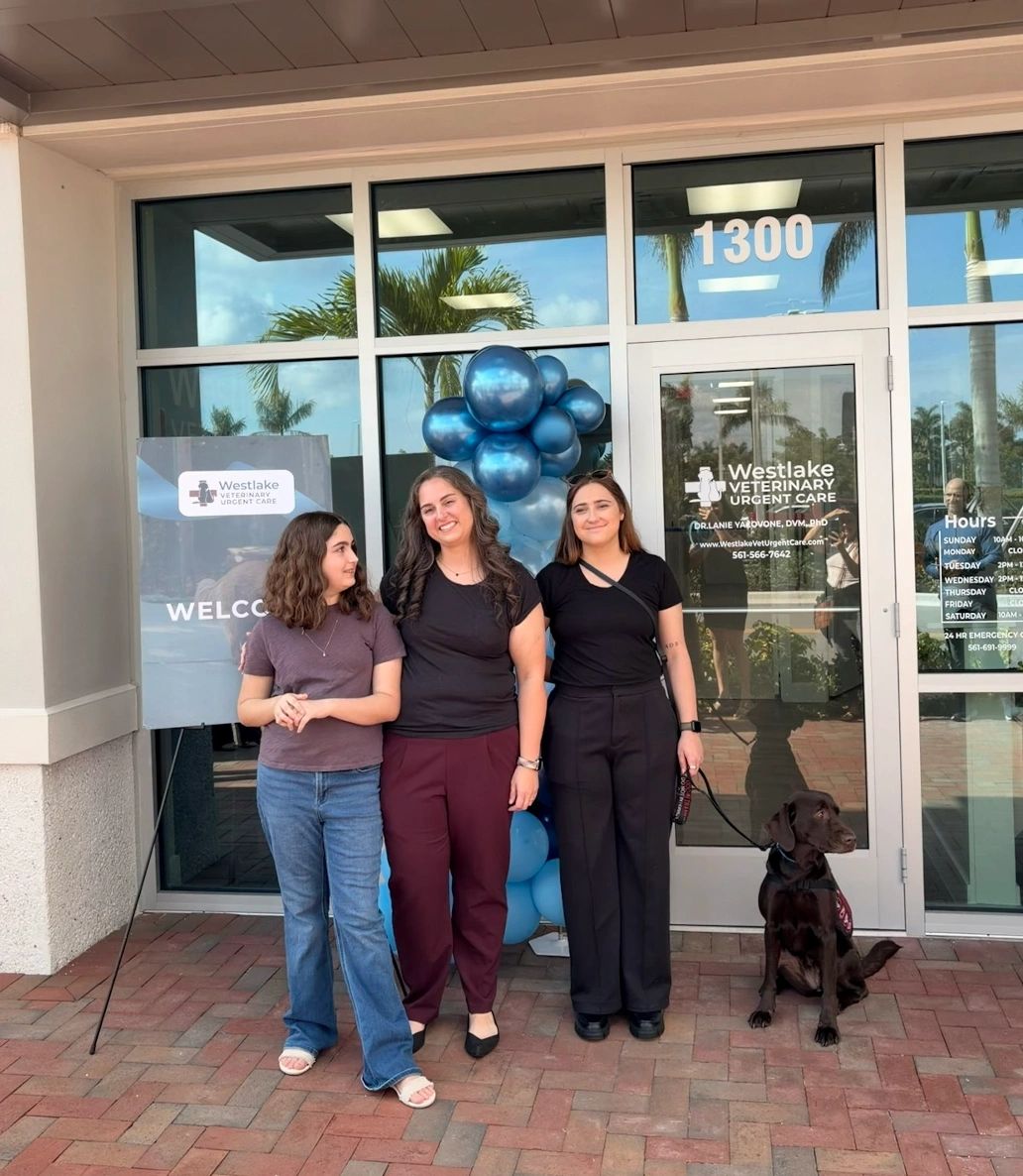 L-to-R: Lanie Jr., Dr. Lanie, Lily and Goose!