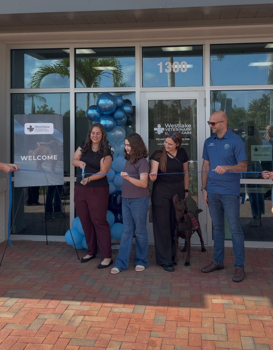 Dr. Lanie cutting that ribbon on the far left; Councilman Erik Gleason on the far right