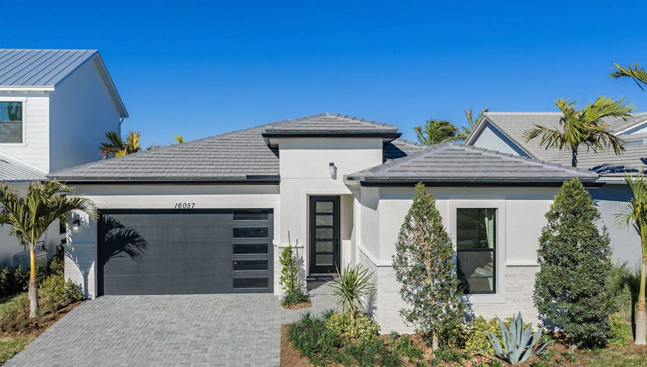 Minto's Hibiscus Model with Elevation D