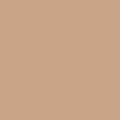 Solid muted brown color background.