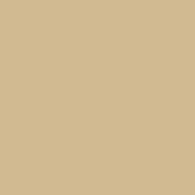 A plain beige square background.