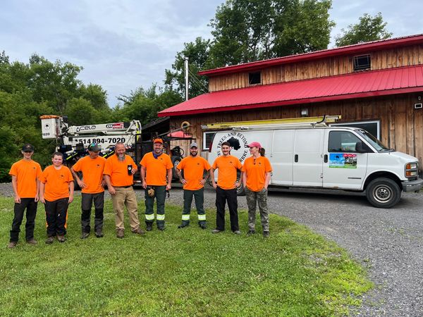 Tree service crew with van and 82ft spider lift.