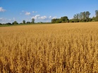Raub-Rae Farm, LLC