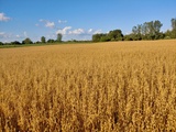 Raub-Rae Farm, LLC