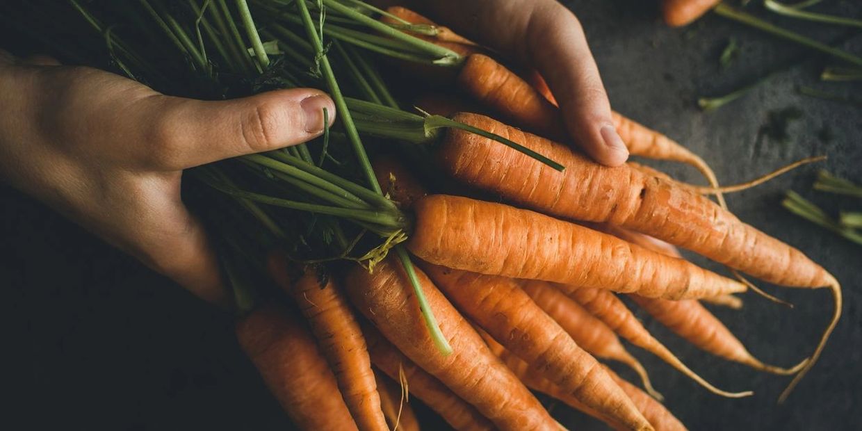 Farm fresh foods, carrots that have just been picked