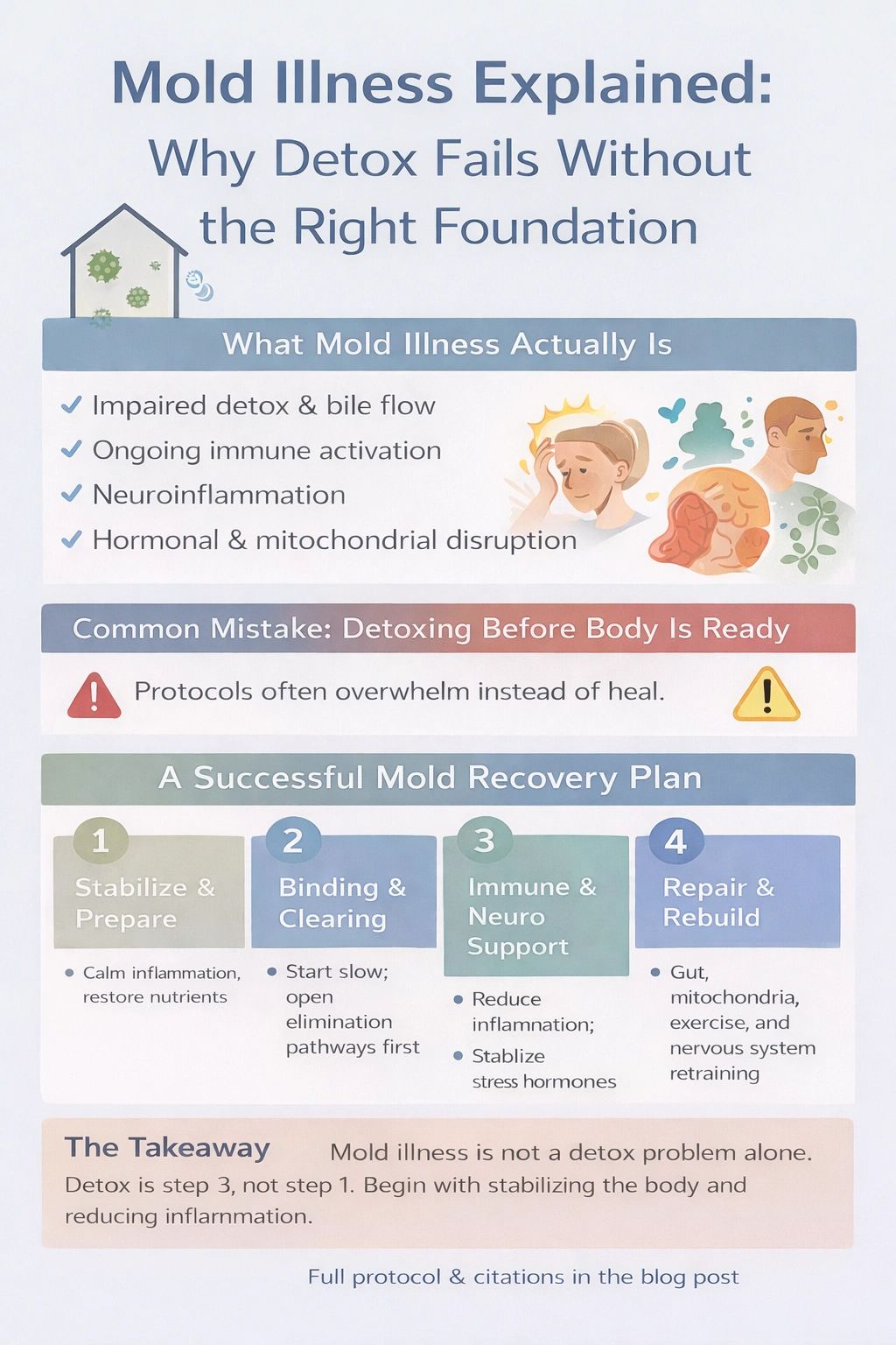 Mold Illness: Why Detox Fails Without the Right Foundation