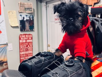 Small black dog in red hoodie sitting on shoes.