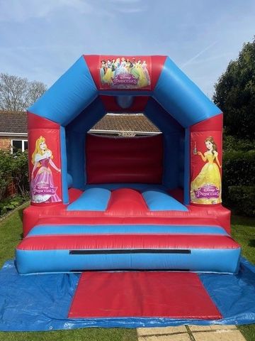 Colorful Disney Princess-themed bouncy castle set up outdoors on a sunny day.