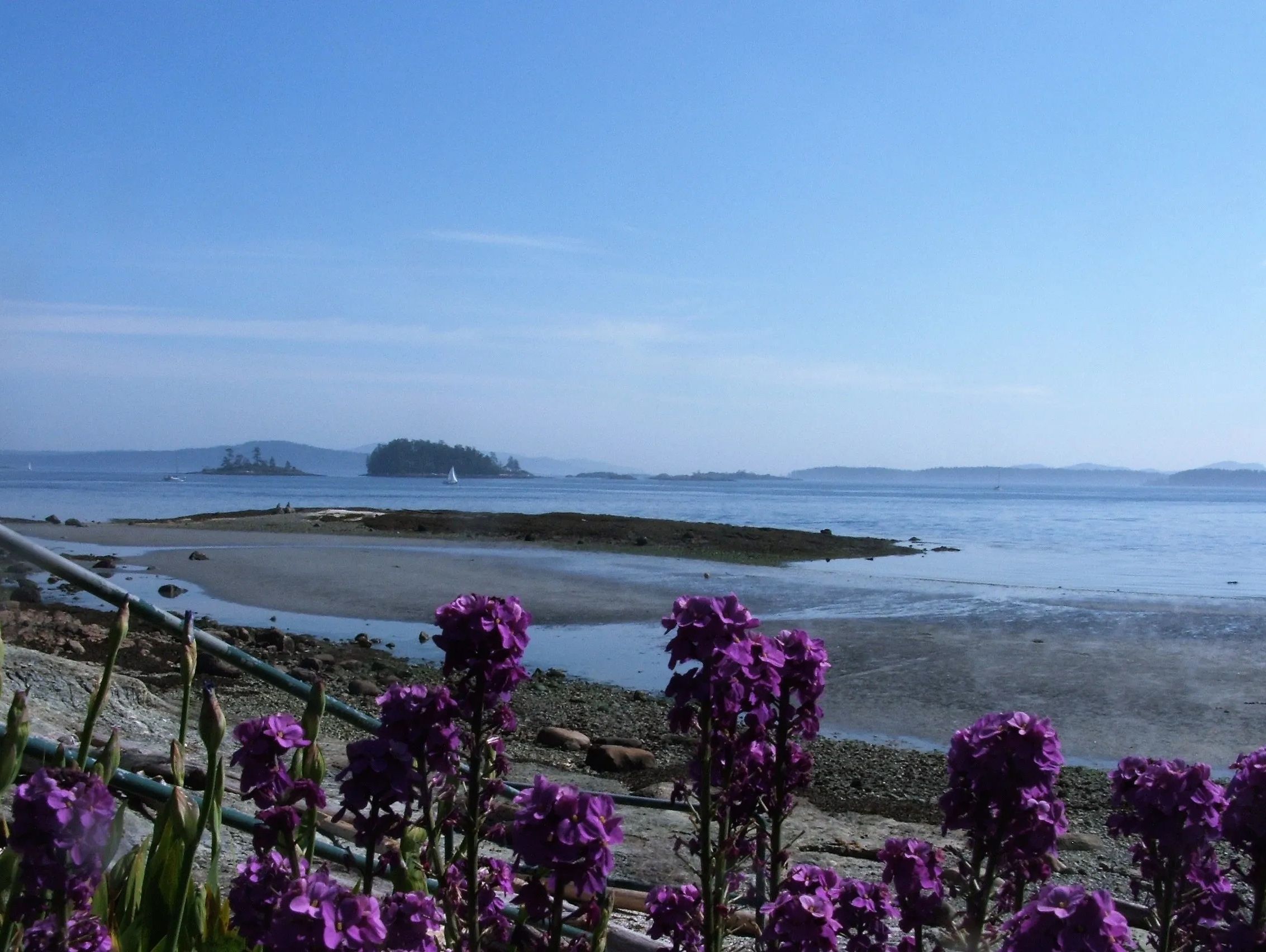 view of ocean in sidney british columbia