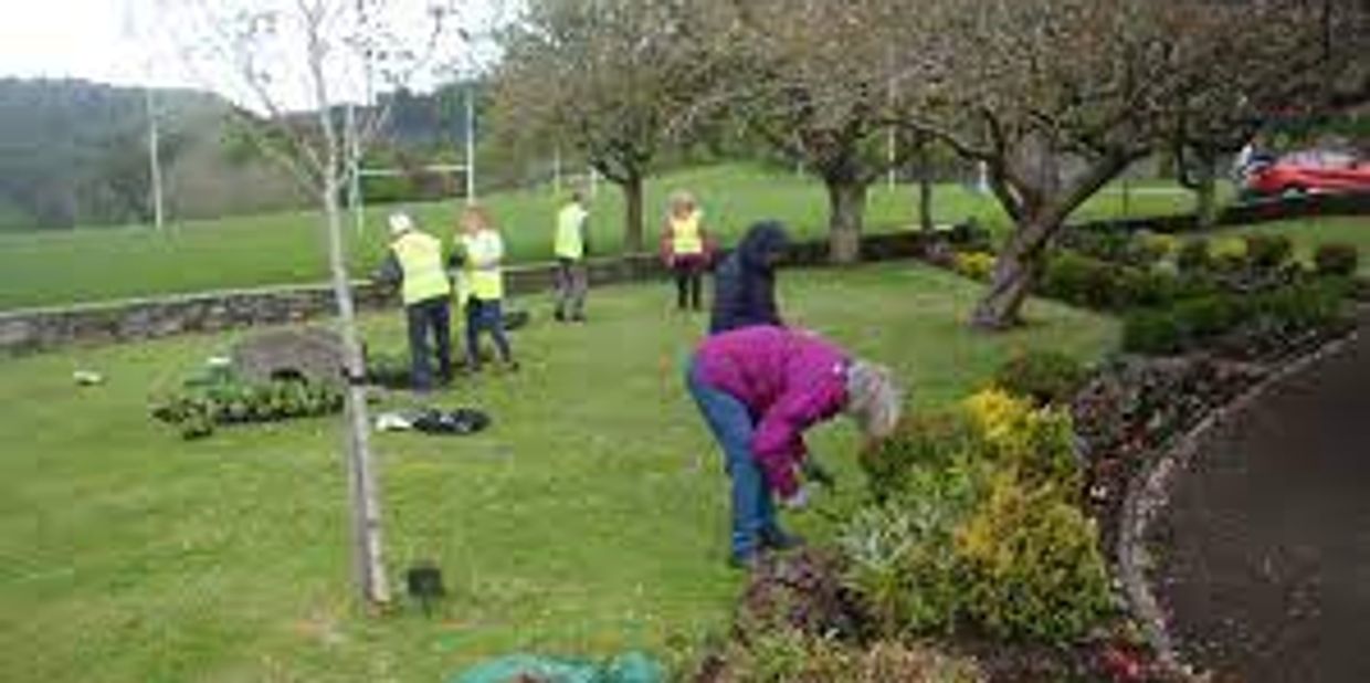 People gardening and planting in a park on a cloudy day.
