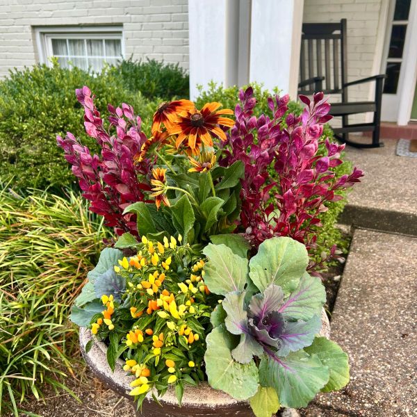 Colorful flowers and cabbage plants in a round planter on a porch.
