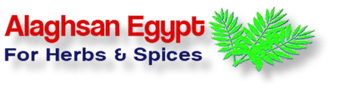 ALAGHSAN EGYPT 
FOR HERBS & SPICES