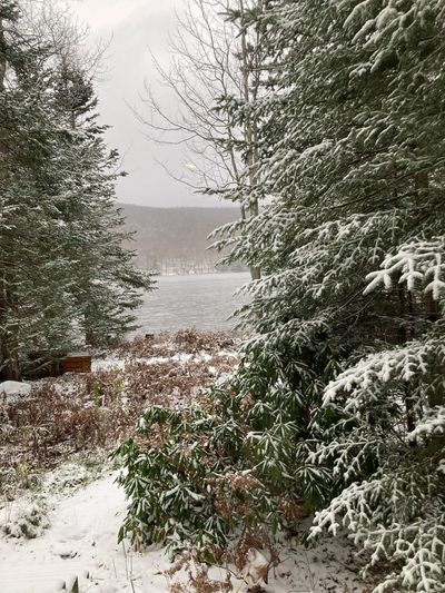 Lake Armington's snowfall just before Thanksgiving, Lynn DeMerchant