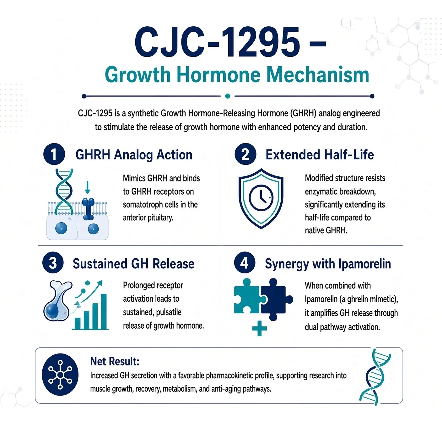 cjc-1295 ipamorelin mechanism of action growth hormone release The Stack Buy Dihexa Peptide | Workout Type:Crossfit Size:90 Sublingual Tablets